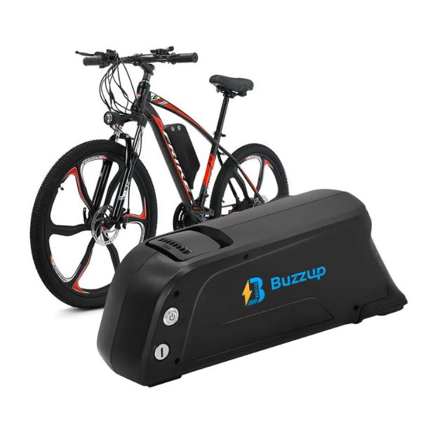 Dolphin ebike battery supplier in China