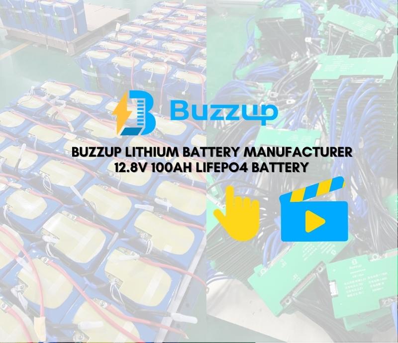 buzzup 12.8V 100Ah battery project
